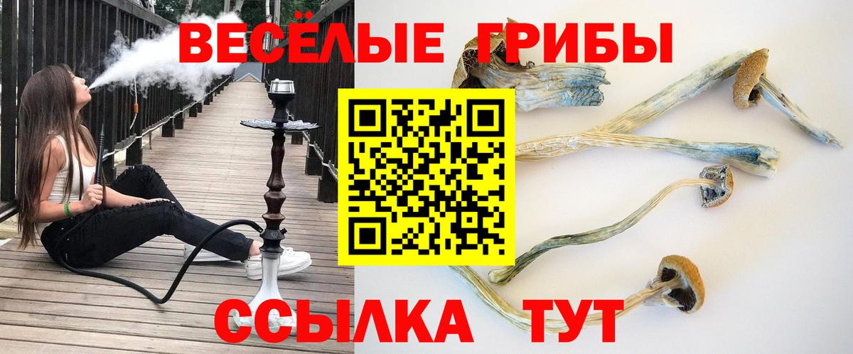 Псилоцибиновые грибы Psilocybine cubensis Аша