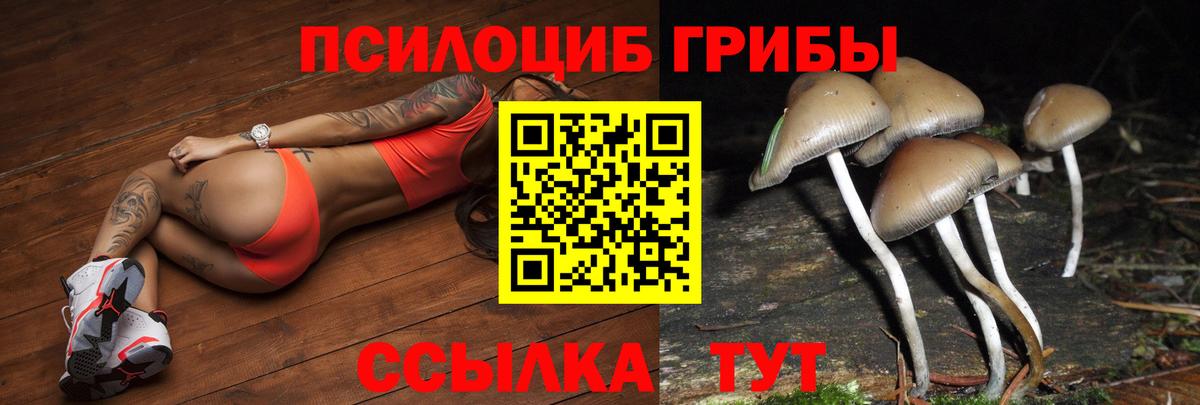 Псилоцибиновые грибы мицелий  Псилоцибиновые грибы ЛСД  Аша  Вход с VPN 